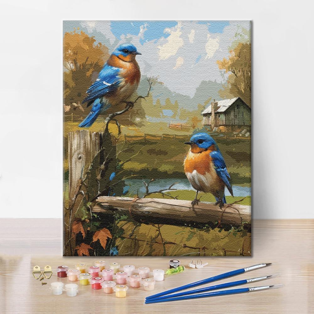 Rouge-gorge - Peinture par numéros