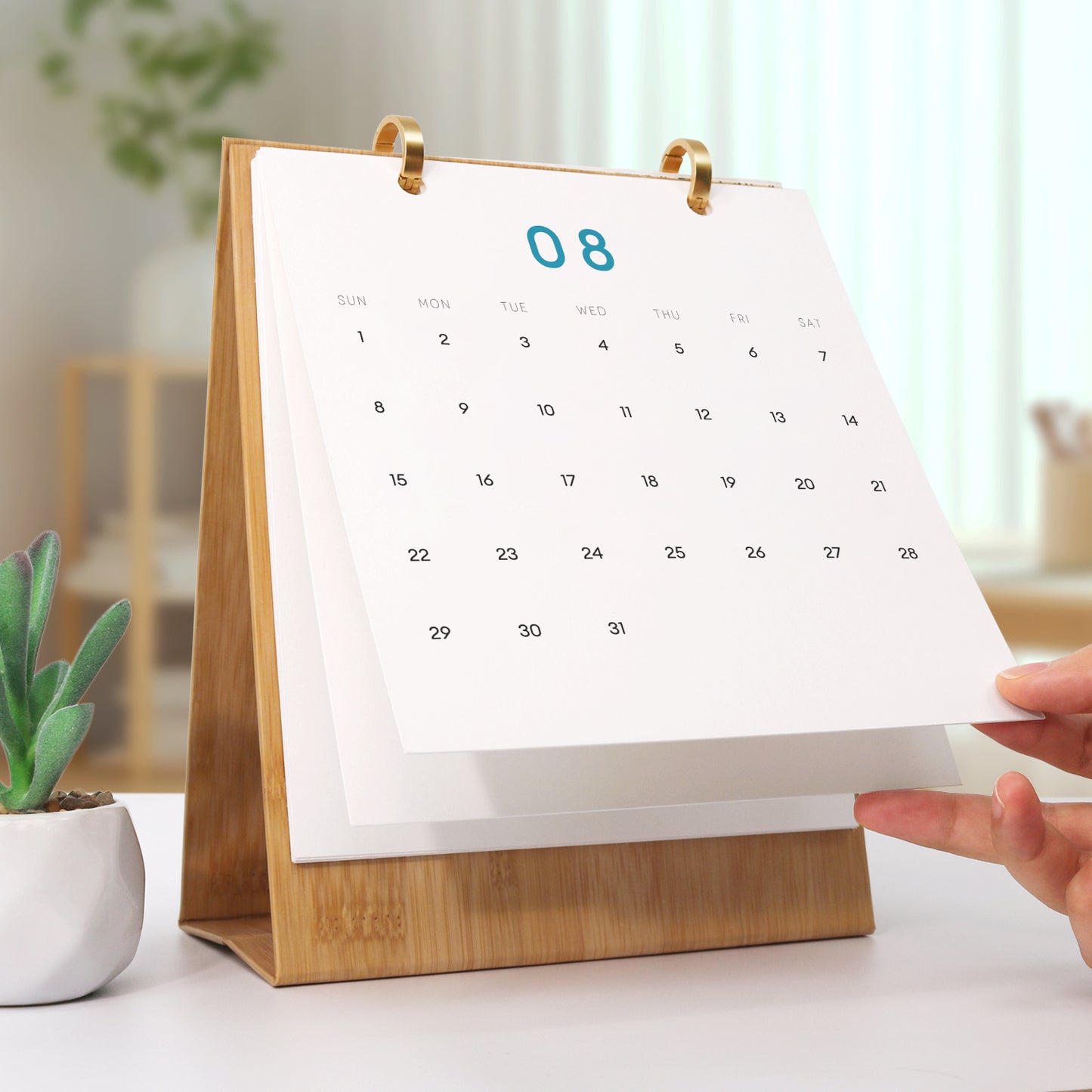World Trip Edition - 2027 Paint by Numbers Desk Calenda