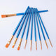 Pro Brush Set (10 Pcs)