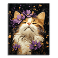 Ragdoll cat - Paint by Numbers