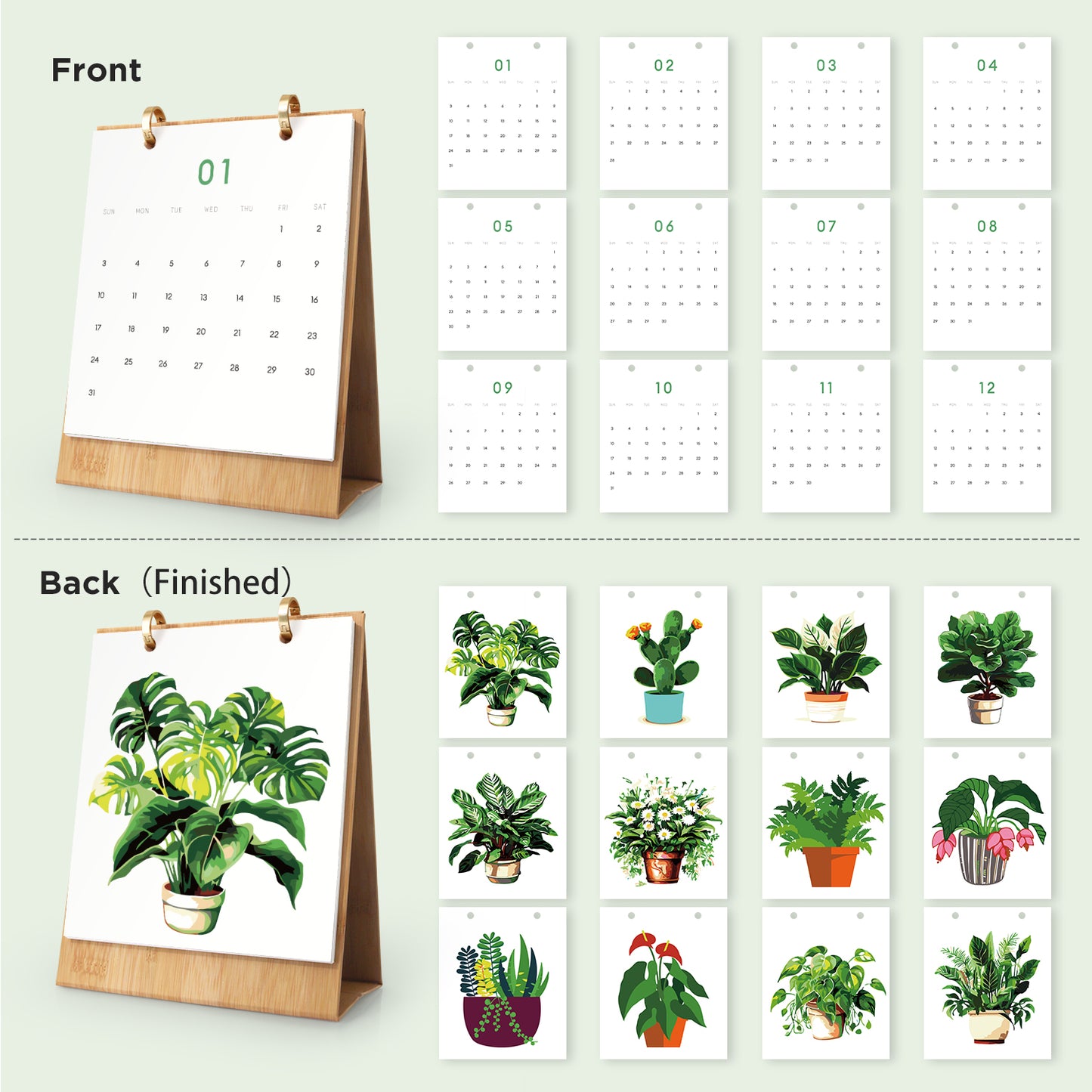 Plants Edition - 2027 Paint by Numbers Desk Calenda