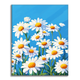 Daisies Under Blue Skies - Paint by Numbers