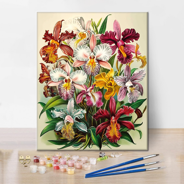 Orchidee Regali - Paint by Numbers