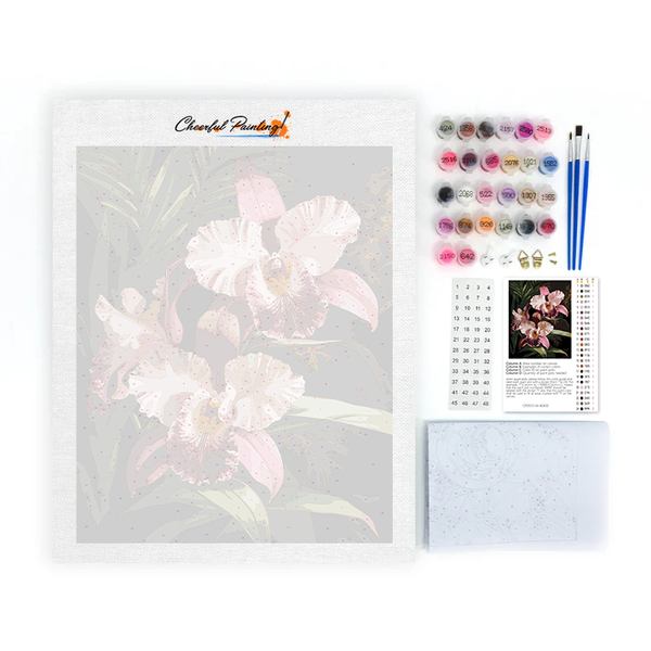 Pink Orchid - Paint by Numbers