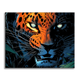leopard - Paint by Numbers