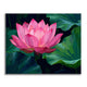 Lotus Blossom - Paint by Numbers