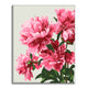 Exquisite Peonies - Paint by Numbers