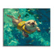 Playful Swim - Paint by Numbers