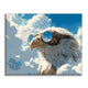 Skywatcher - Paint by Numbers