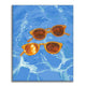 Summer Lenses - Paint by Numbers