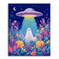 Cosmic Ghost Encounter - Paint by Numbers