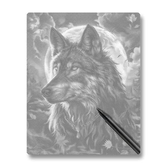 The King of Wolves - Dot Painting