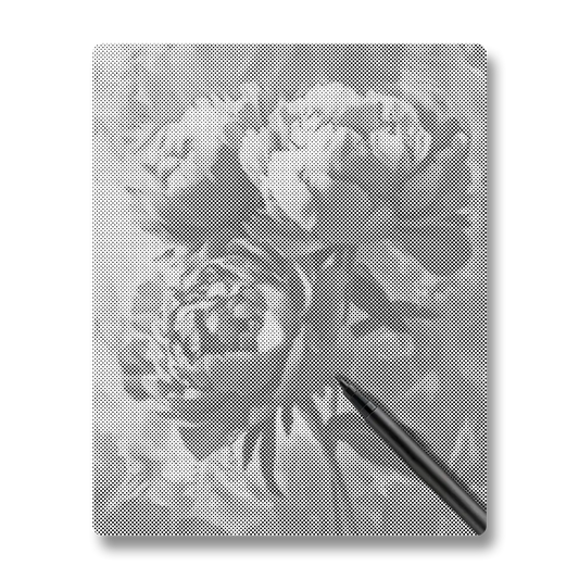 Pink Peony - Dot Painting