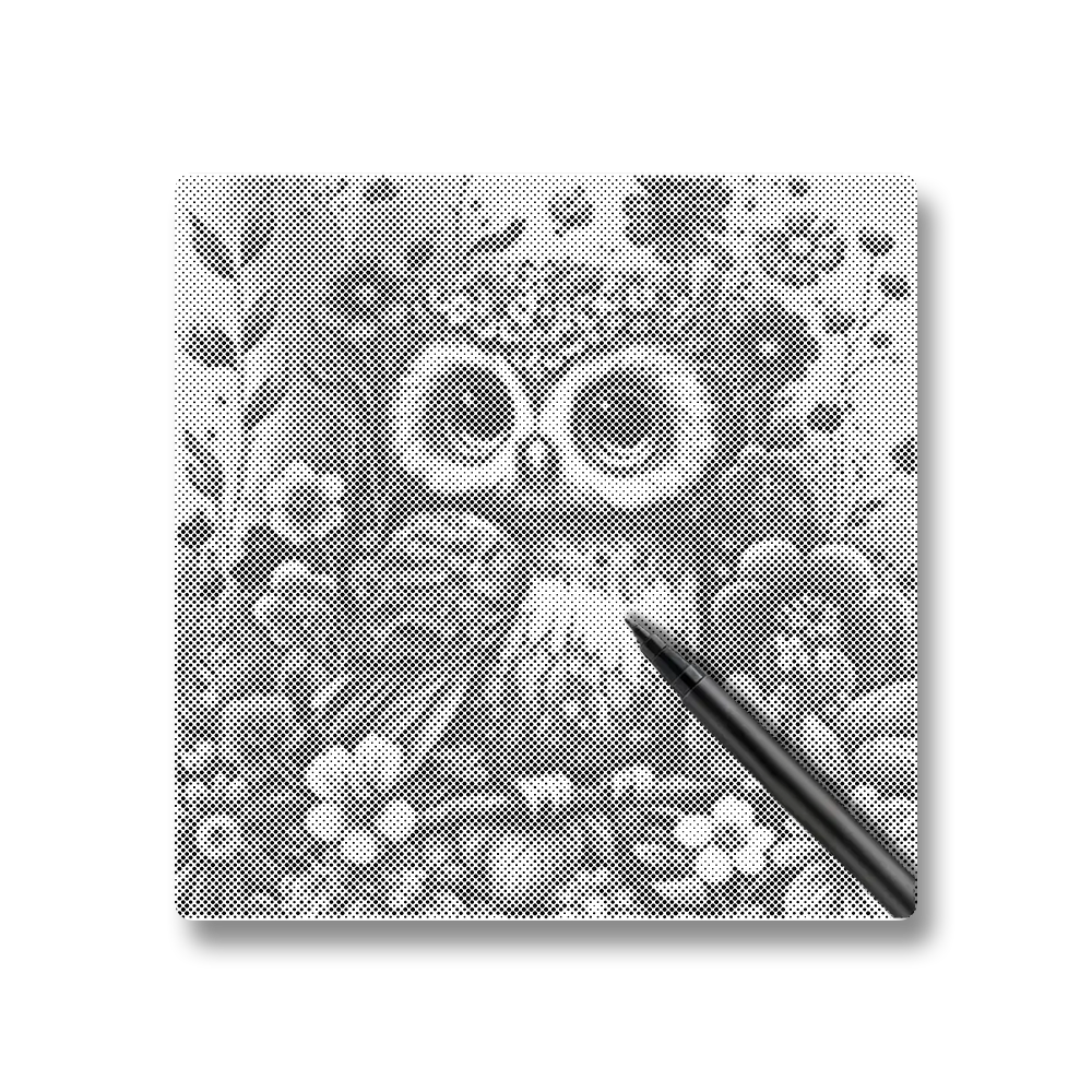 Soft and Cute Baby Owl - Dot Painting