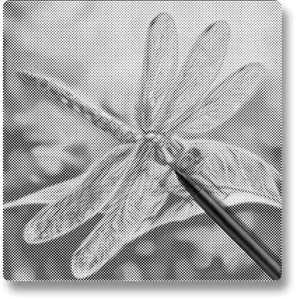Colorful Dragonfly - Dot Painting