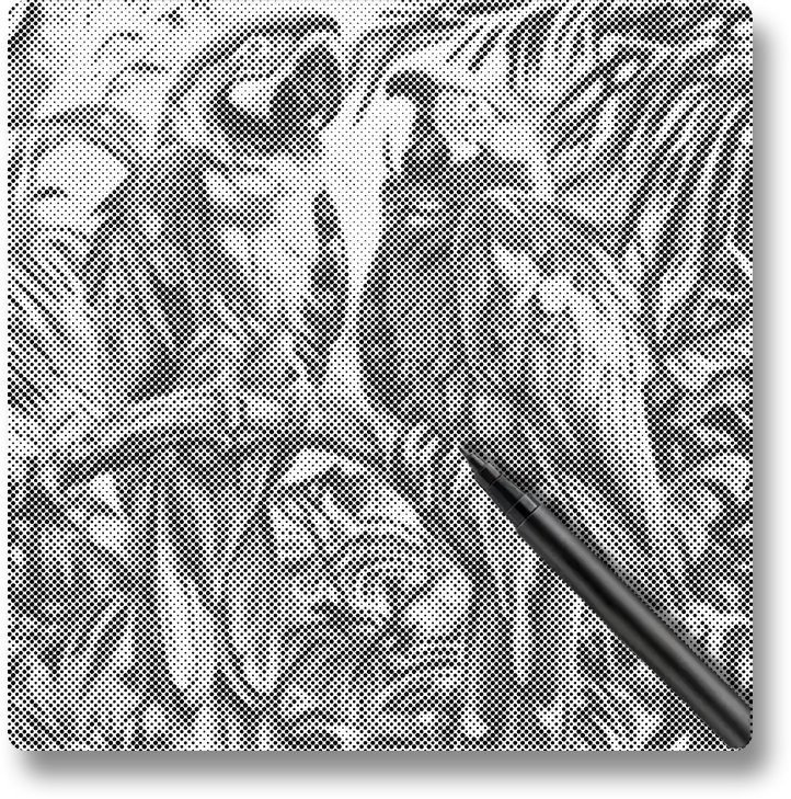 Parrot Bird - Dot Painting