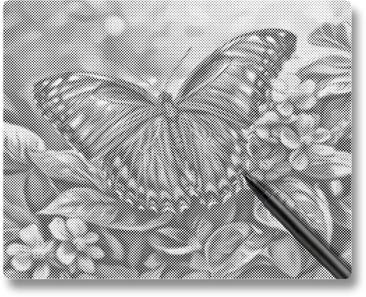 Blue Butterfly - Dot Painting