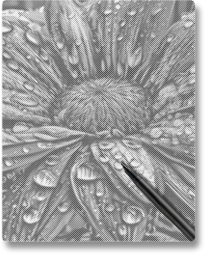 Flower with Raindrops - Dot Painting