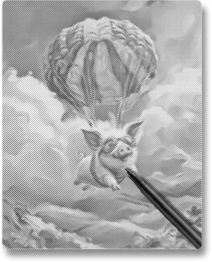 Flying Pig - Dot Painting