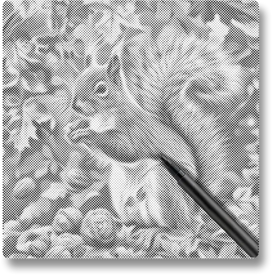 Squirrel In Autumn Leaves - Dot Painting