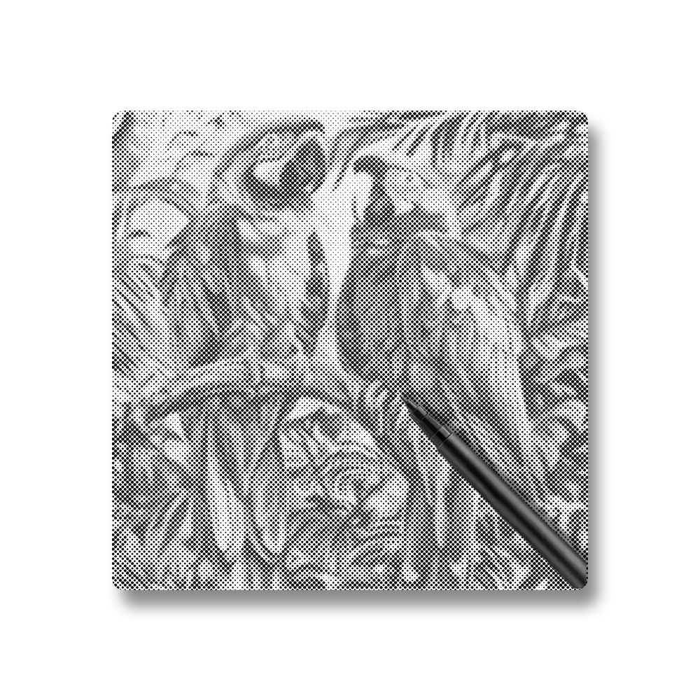 Parrot Bird - Dot Painting