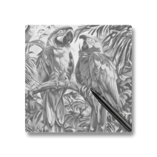 Parrot Bird - Dot Painting