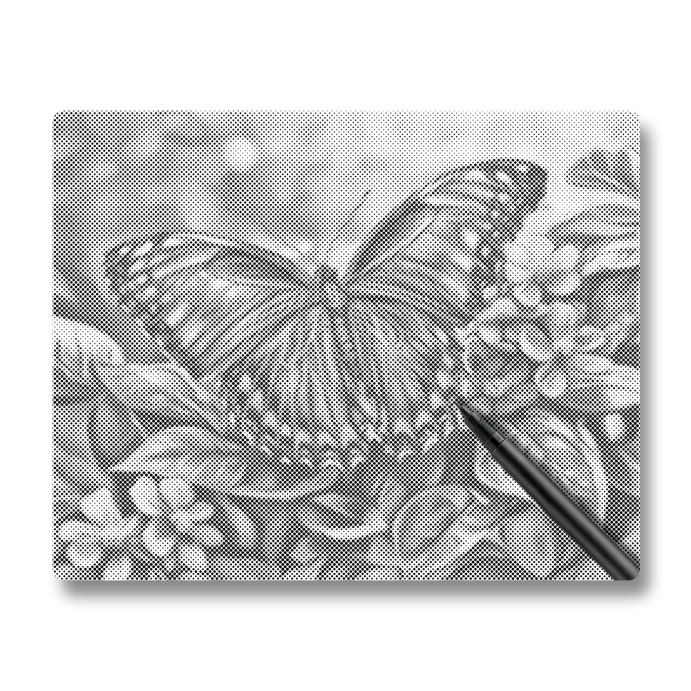 Blue Butterfly - Dot Painting