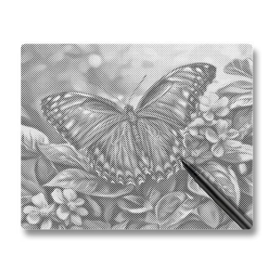 Blue Butterfly - Dot Painting