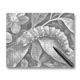 Caterpillar - Dot Painting
