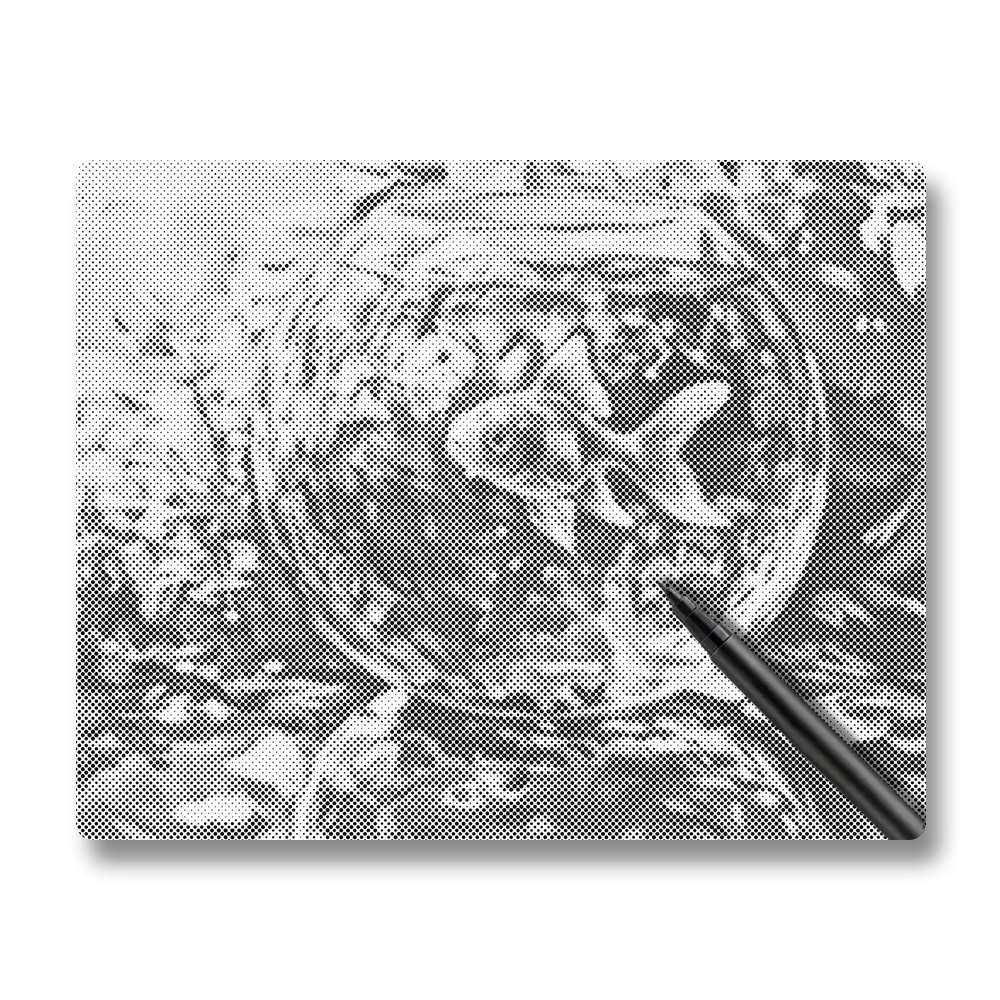 Goldfish - Dot Painting