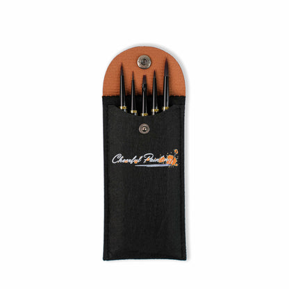 Removable Professional Paint Brush