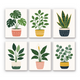 Potted Greenery