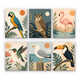 Wild Bird Collection