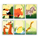 Safari Animals