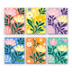 Colorful Flowers