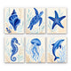 Blue Ocean Animals