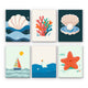 Seashells and Coral
