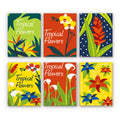 Tropical Flower Posters